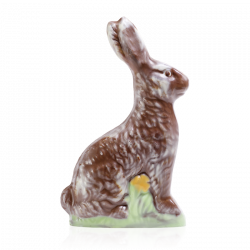 LAPIN GUETTEUR  