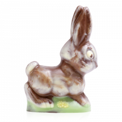 LAPIN GRAND COUREUR 