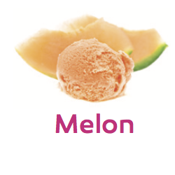 BARQUETTE SORBET MELON 750ml 