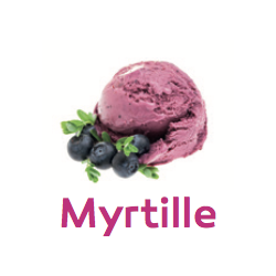 BARQUETTE SORBET MYRTILLES...